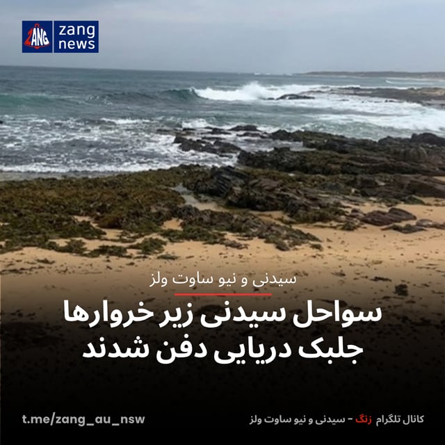 سواحل سیدنی زیر خروارها جلبک دریایی دفن شدند