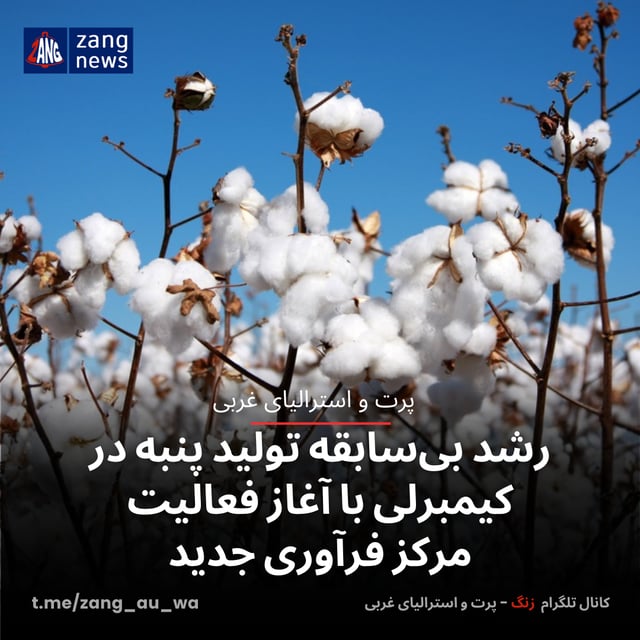 رشد بی‌سابقه تولید پنبه در کیمبرلی با آغاز فعالیت مرکز فرآوری جدید