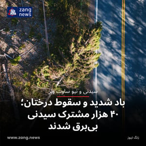 باد شدید و سقوط درختان؛ ۴۰ هزار مشترک سیدنی بی‌برق شدند