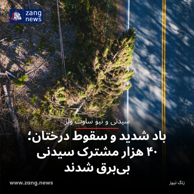 باد شدید و سقوط درختان؛ ۴۰ هزار مشترک سیدنی بی‌برق شدند