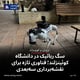 سگ رباتیک در دانشگاه کوئینزلند؛ فناوری تازه برای نقشه‌برداری سه‌بعدی