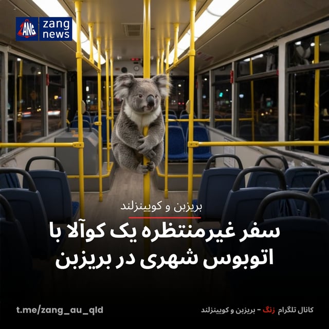 سفر غیرمنتظره یک کوآلا با اتوبوس شهری در بریزبن