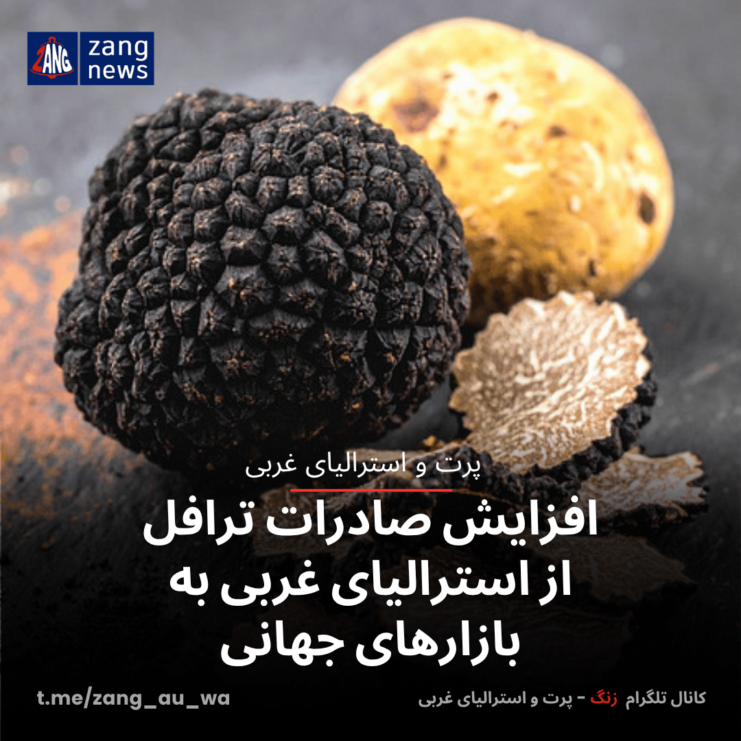 افزایش صادرات ترافل از استرالیای غربی به بازارهای جهانی