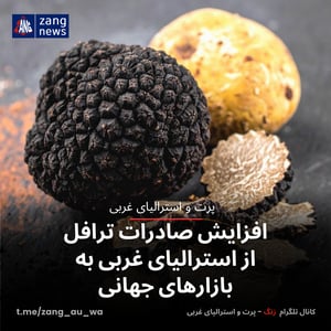 افزایش صادرات ترافل از استرالیای غربی به بازارهای جهانی