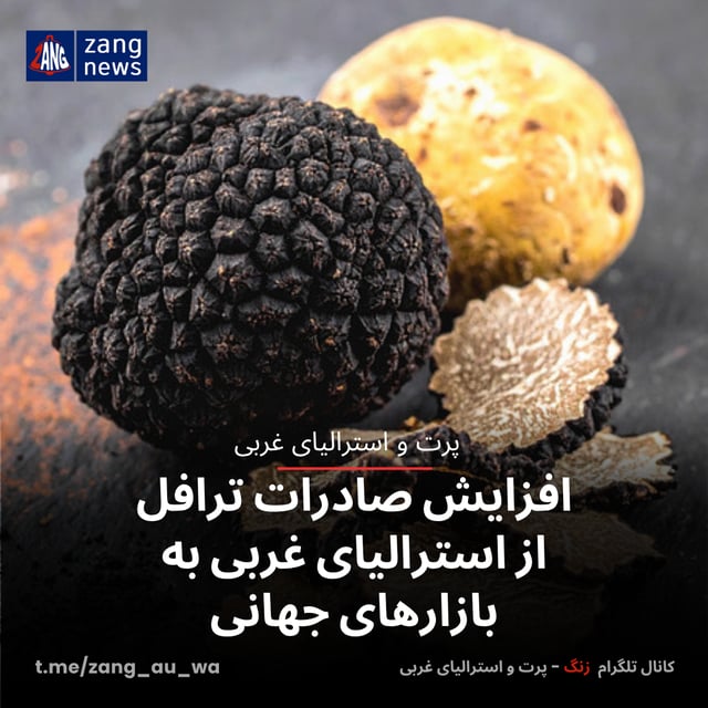 افزایش صادرات ترافل از استرالیای غربی به بازارهای جهانی
