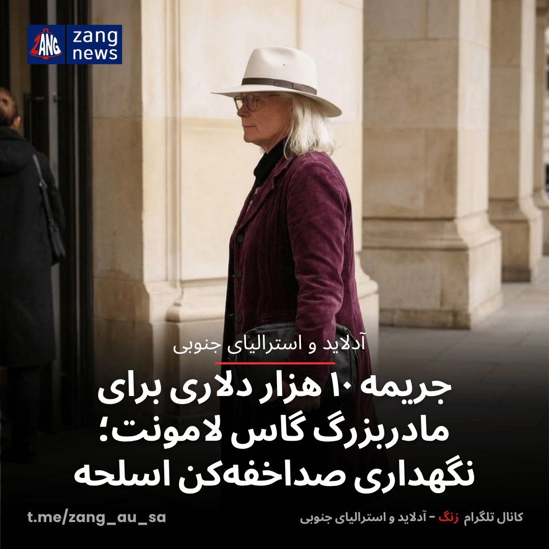 جریمه ۱۰ هزار دلاری برای مادربزرگ گاس لامونت؛ نگهداری صداخفه‌کن اسلحه