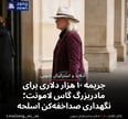 جریمه ۱۰ هزار دلاری برای مادربزرگ گاس لامونت؛ نگهداری صداخفه‌کن اسلحه