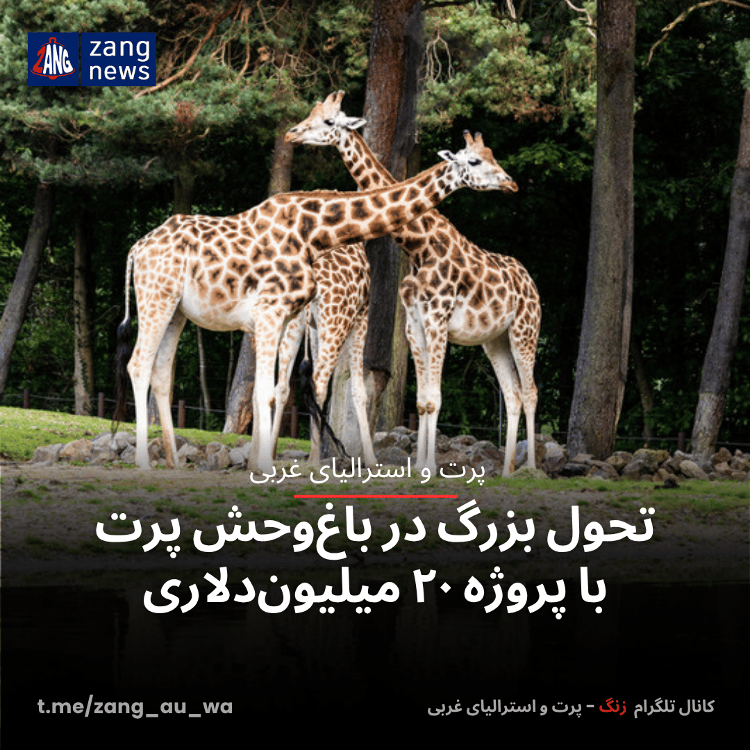 تحول بزرگ در باغ‌وحش پرت با پروژه ۲۰ میلیون‌دلاری