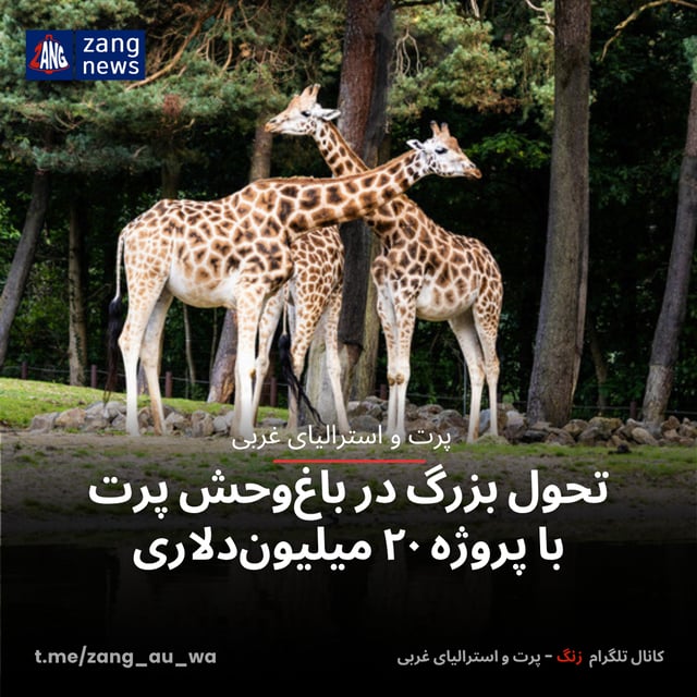 تحول بزرگ در باغ‌وحش پرت با پروژه ۲۰ میلیون‌دلاری
