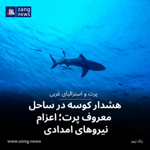 هشدار کوسه در ساحل معروف پرت؛ اعزام نیروهای امدادی