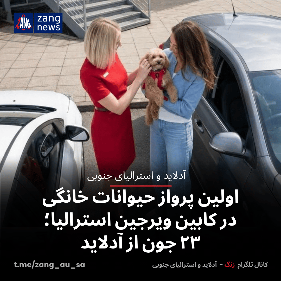 اولین پرواز حیوانات خانگی در کابین ویرجین استرالیا؛ ۲۳ جون از آدلاید