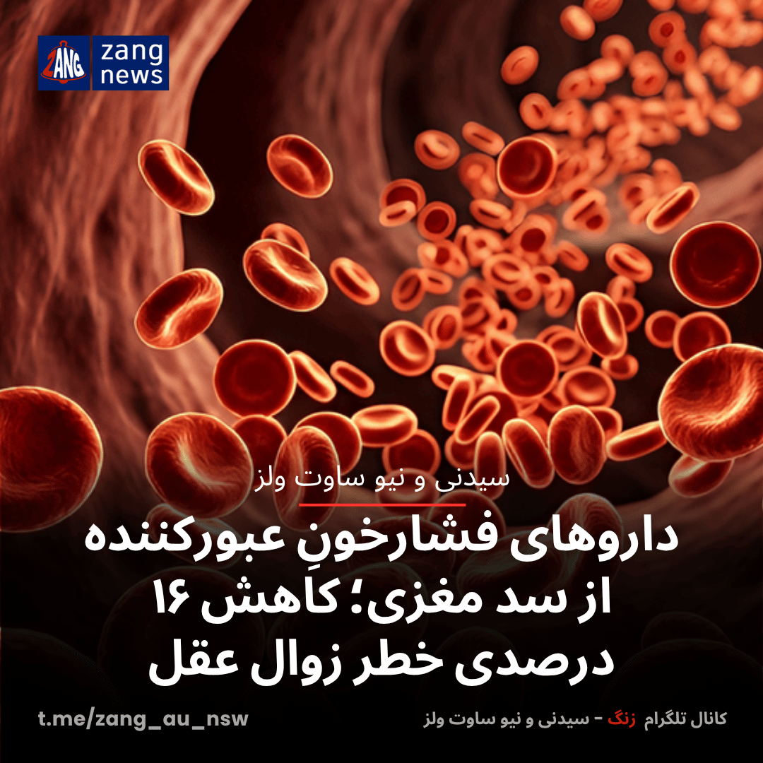 داروهای فشارخونِ عبورکننده از سد مغزی؛ کاهش ۱۶ درصدی خطر زوال عقل