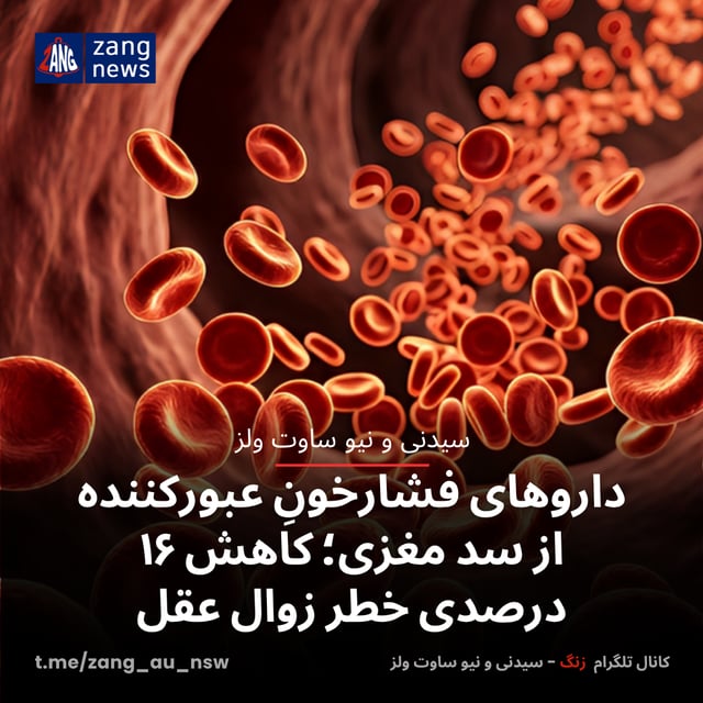 داروهای فشارخونِ عبورکننده از سد مغزی؛ کاهش ۱۶ درصدی خطر زوال عقل