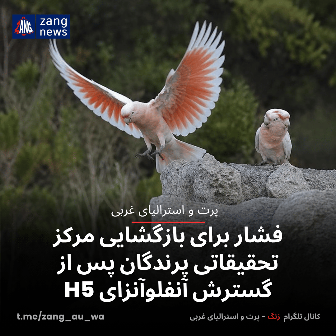 فشار برای بازگشایی مرکز تحقیقاتی پرندگان پس از گسترش آنفلوآنزای H5