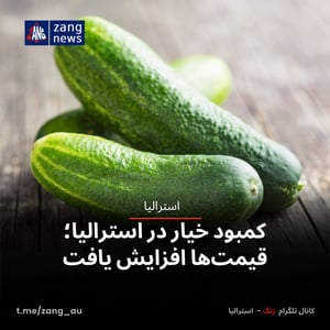 کمبود خیار در استرالیا؛ قیمت‌ها افزایش یافت