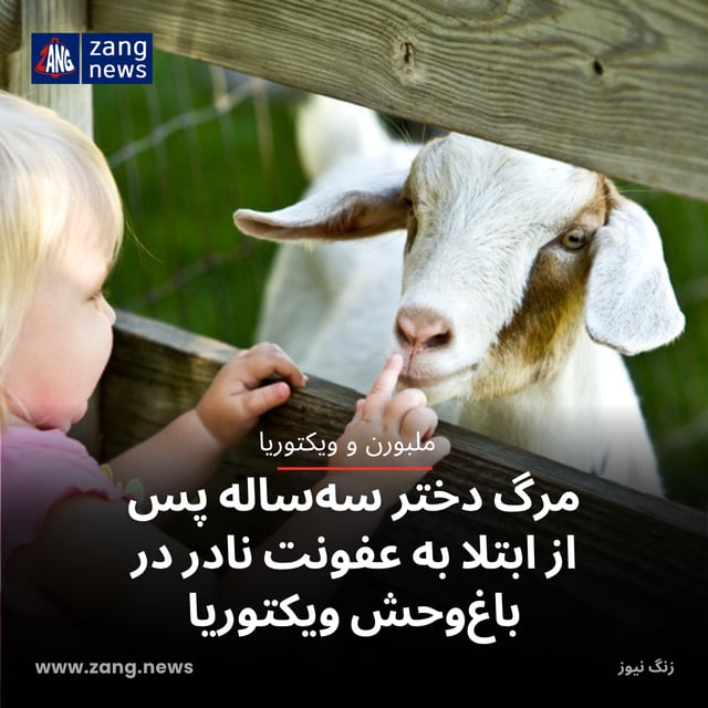 مرگ دختر سه‌ساله پس از ابتلا به عفونت نادر در باغ‌وحش ویکتوریا