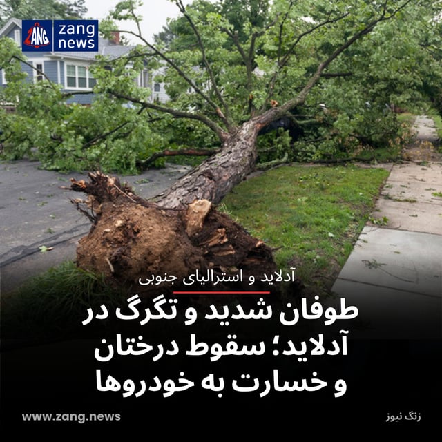 طوفان شدید و تگرگ در آدلاید؛ سقوط درختان و خسارت به خودروها