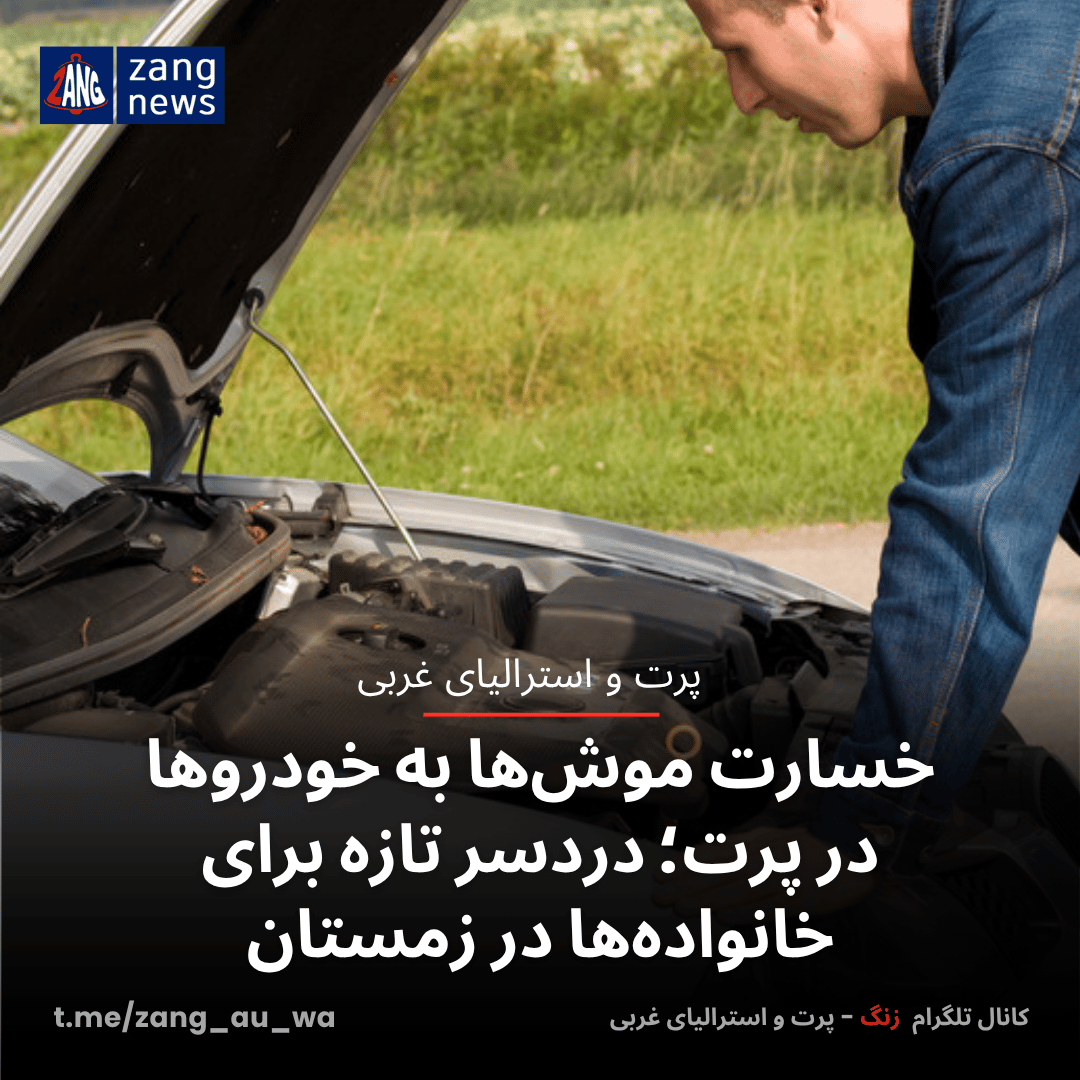 خسارت موش‌ها به خودروها در پرت؛ دردسر تازه برای خانواده‌ها در زمستان