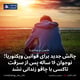 چالش جدید برای قوانین ویکتوریا؛ نوجوان ۱۶ ساله پس از سرقت تاکسی با چاقو زندانی نشد