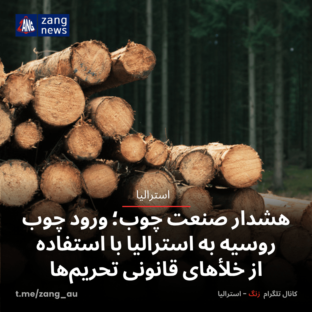 هشدار صنعت چوب؛ ورود چوب روسیه به استرالیا با استفاده از خلأهای قانونی تحریم‌ها