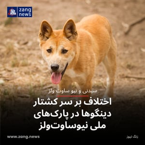 اختلاف بر سر کشتار دینگوها در پارک‌های ملی نیوساوت‌ولز