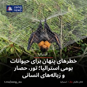خطرهای پنهان برای حیوانات بومی استرالیا؛ تور، حصار و زباله‌های انسانی