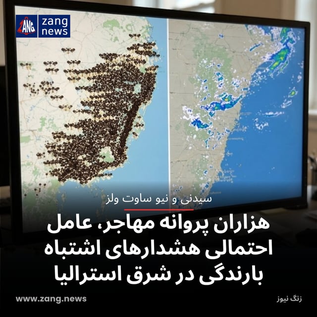 هزاران پروانه مهاجر، عامل احتمالی هشدارهای اشتباه بارندگی در شرق استرالیا
