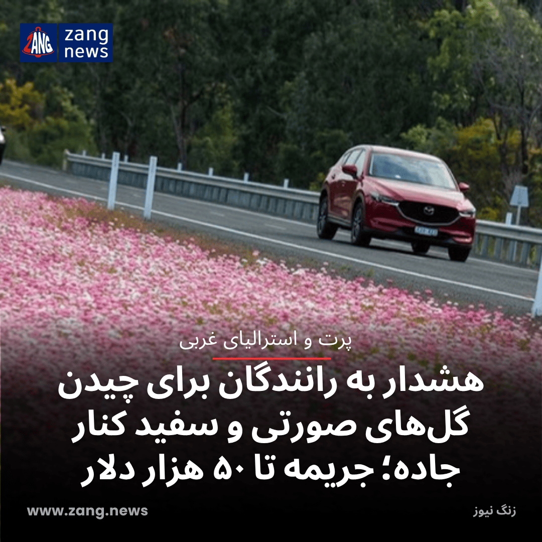 هشدار به رانندگان برای چیدن گل‌های صورتی و سفید کنار جاده‌؛ جریمه تا ۵۰ هزار دلار