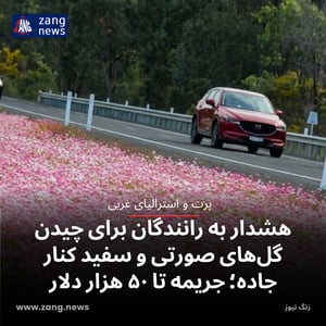 هشدار به رانندگان برای چیدن گل‌های صورتی و سفید کنار جاده‌؛ جریمه تا ۵۰ هزار دلار