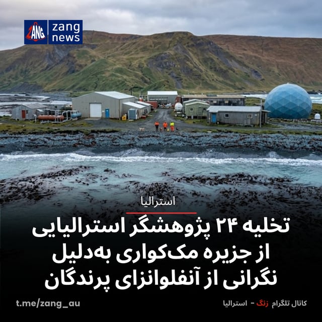 تخلیه ۲۴ پژوهشگر استرالیایی از جزیره مک‌کواری به‌دلیل نگرانی از آنفلوانزای پرندگان