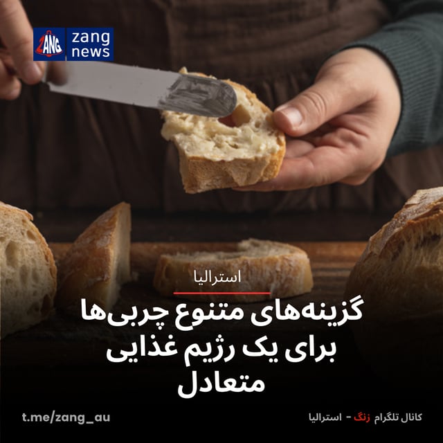گزینه‌های متنوع چربی‌ها برای یک رژیم غذایی متعادل