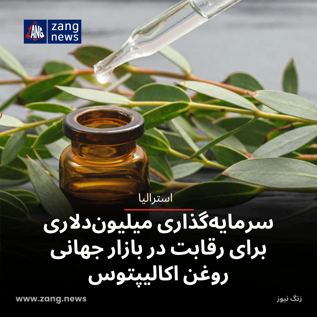 سرمایه‌گذاری میلیون‌دلاری برای رقابت در بازار جهانی روغن اکالیپتوس