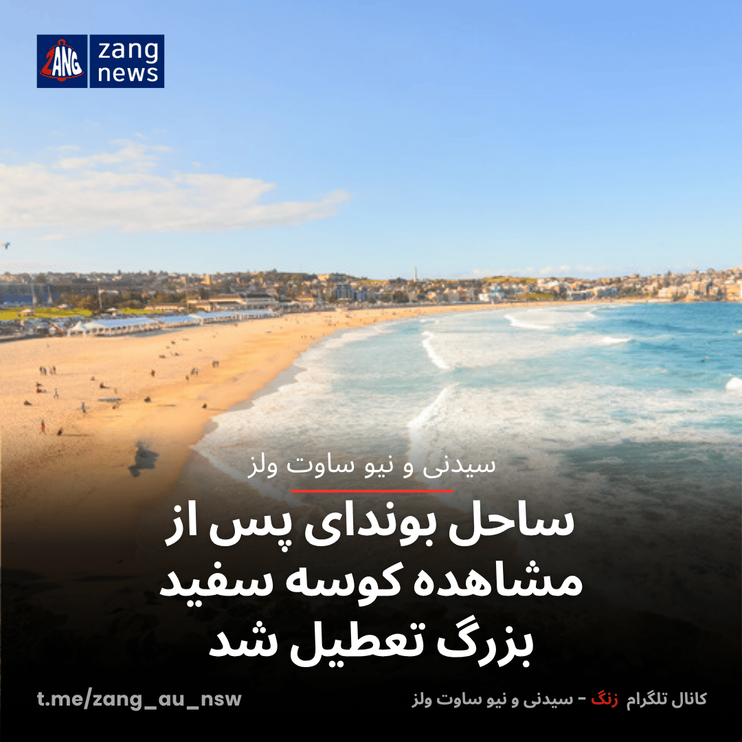ساحل بوندای پس از مشاهده کوسه سفید بزرگ تعطیل شد