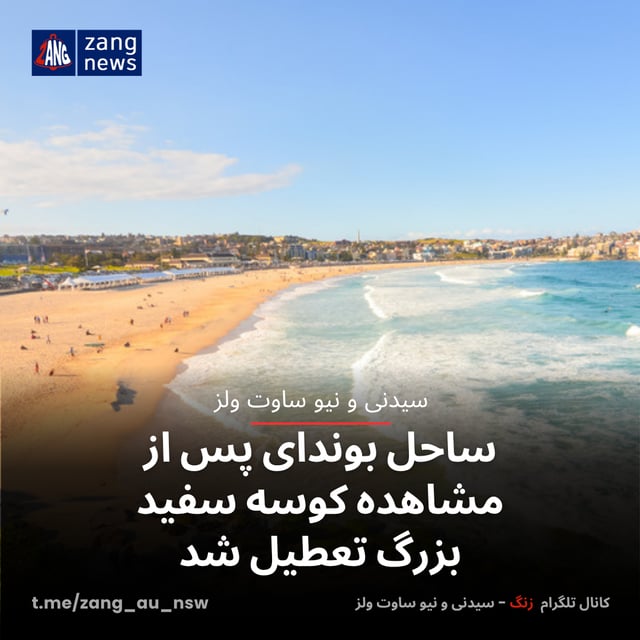 ساحل بوندای پس از مشاهده کوسه سفید بزرگ تعطیل شد