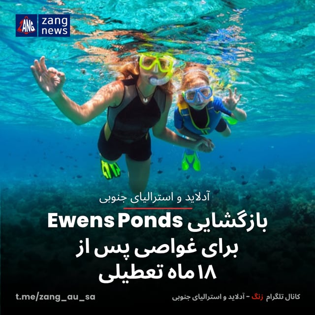 بازگشایی «Ewens Ponds» برای غواصی پس از ۱۸ ماه تعطیلی