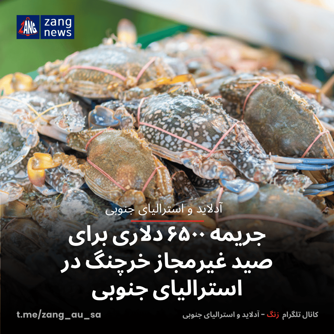 جریمه ۶۵۰۰ دلاری برای صید غیرمجاز خرچنگ در استرالیای جنوبی