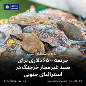 جریمه ۶۵۰۰ دلاری برای صید غیرمجاز خرچنگ در استرالیای جنوبی