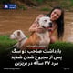 بازداشت صاحب دو سگ پس از مجروح شدن شدید مرد ۳۷ ساله در بریزبن