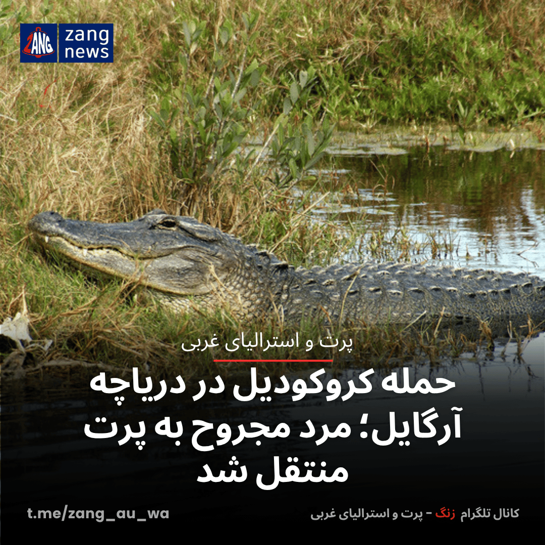 حمله کروکودیل در دریاچه آرگایل؛ مرد مجروح به پرت منتقل شد