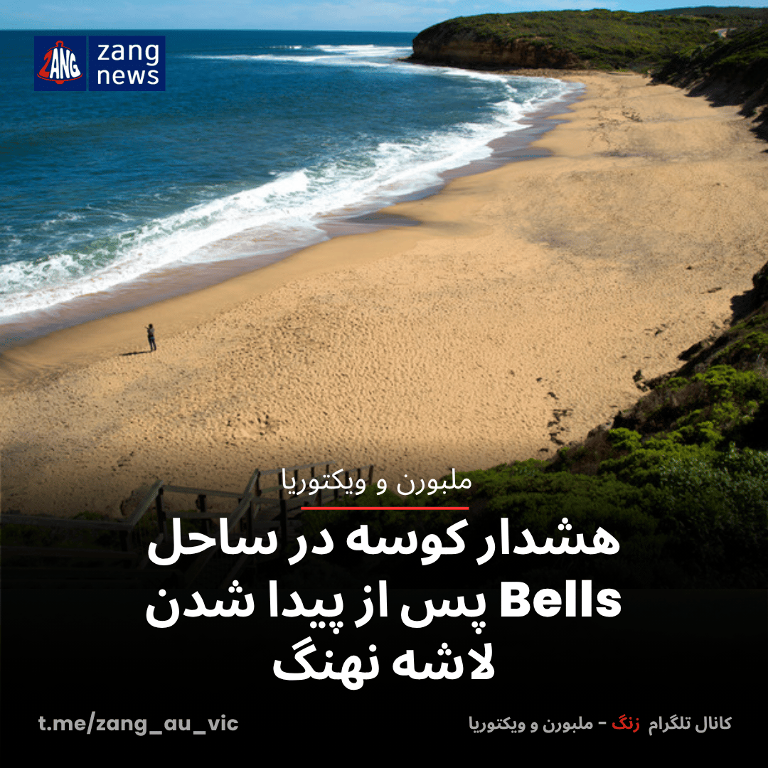 هشدار کوسه در ساحل Bells پس از پیدا شدن لاشه نهنگ