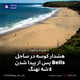 هشدار کوسه در ساحل Bells پس از پیدا شدن لاشه نهنگ