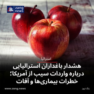 هشدار باغداران استرالیایی درباره واردات سیب از آمریکا؛ خطرات بیماری‌ها و آفات