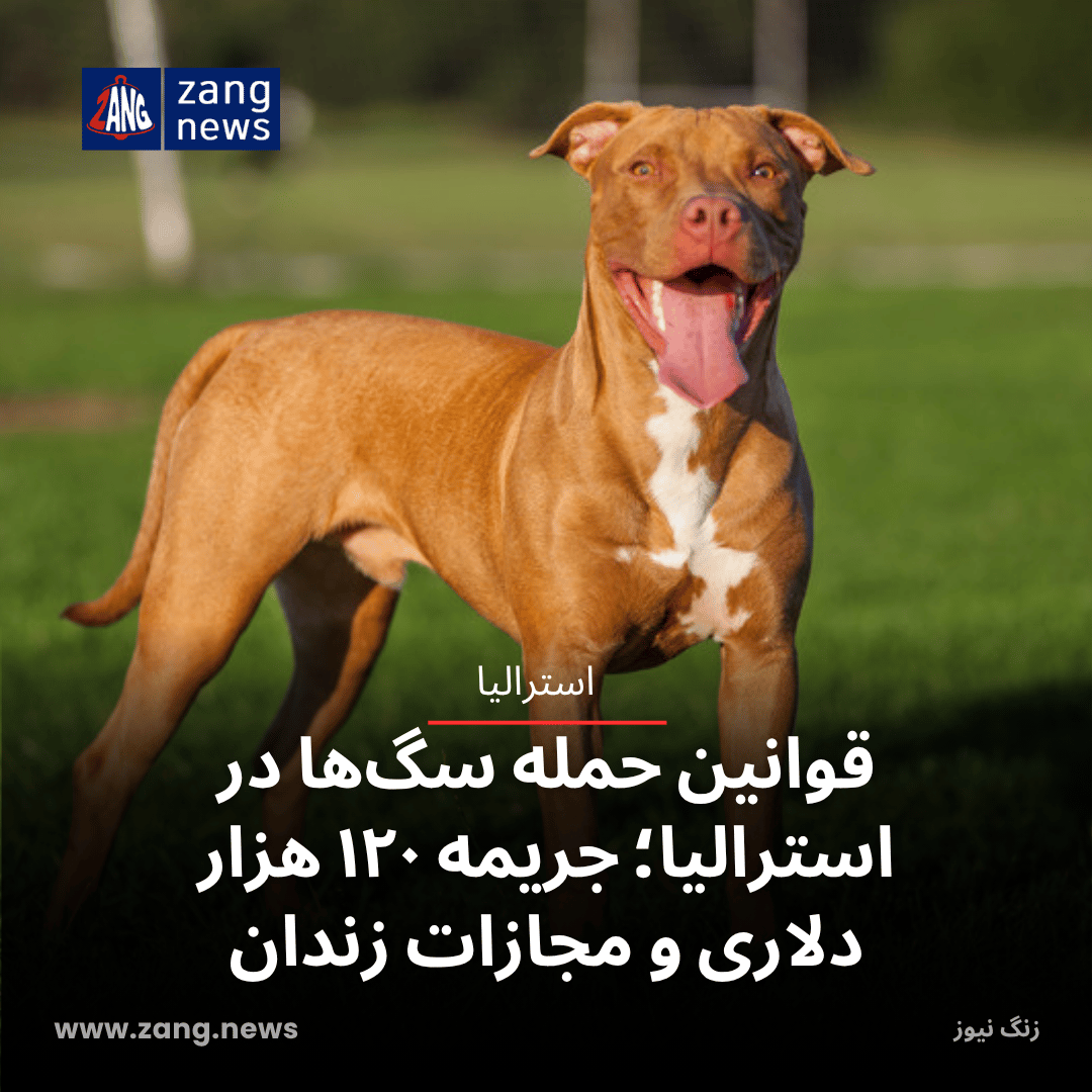 قوانین حمله سگ در استرالیا؛ جریمه‌ها، ممنوعیت‌ها و نکات ایمنی