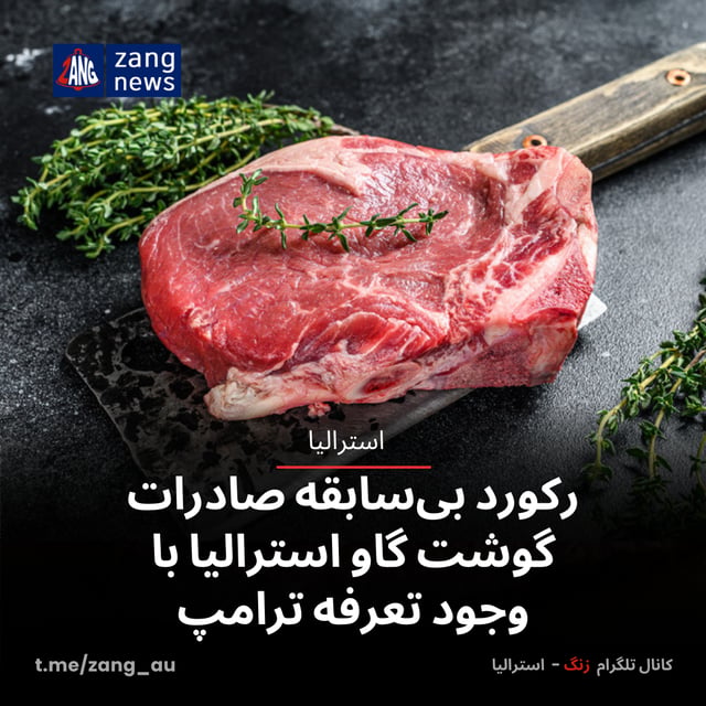 رکورد بی‌سابقه صادرات گوشت گاو استرالیا با وجود تعرفه ترامپ